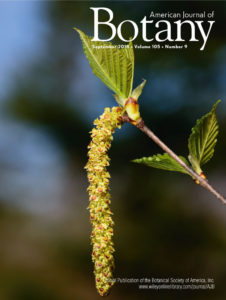 AJB cover